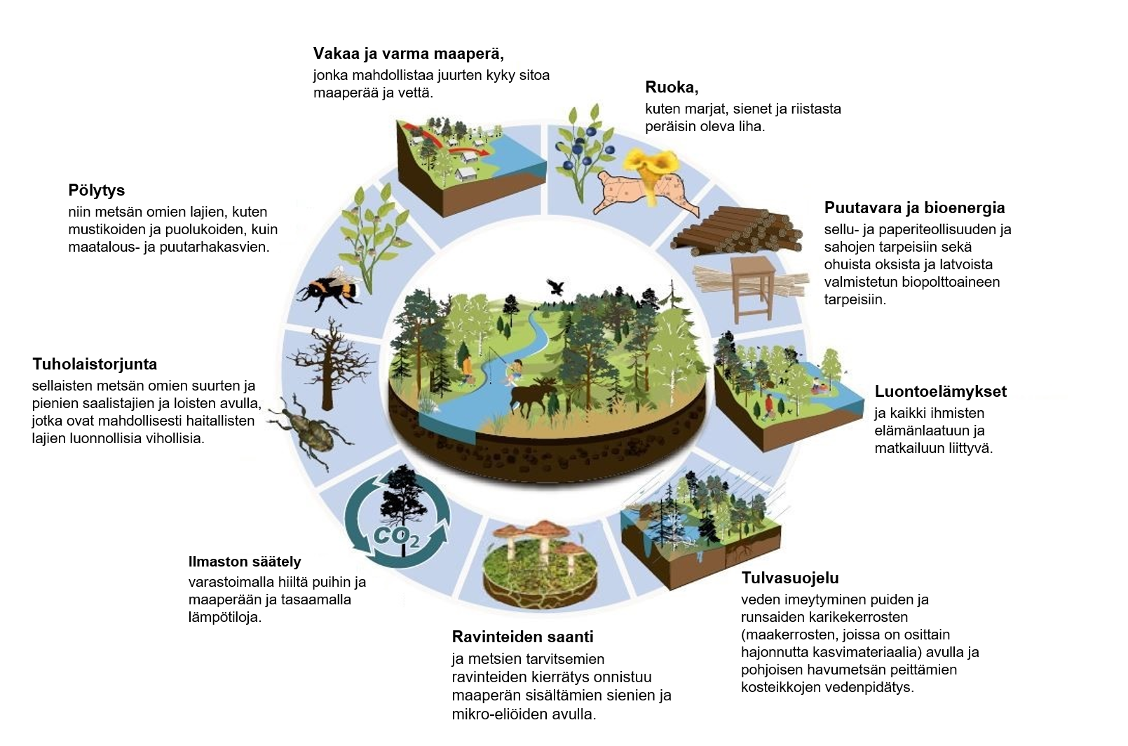 Esimerkkejä metsien tarjoamista ekosysteemihyödykkeistä ja -palveluista