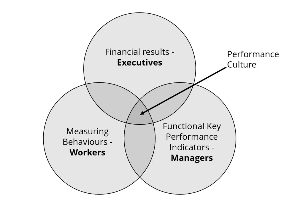 Figure 9. ‘The heart’ of the performance culture. 
