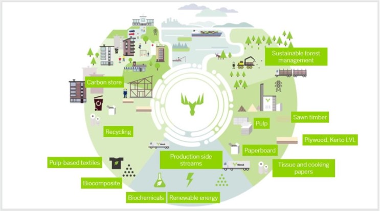 forest-based circular bioeconomy