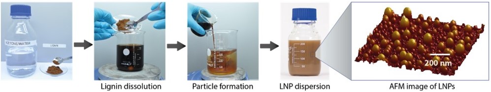 Scheme of LNP preparation at laboratory scale. From left to right: The lignin is dissolved in organic solvent; the particles form spontaneously when the lignin solution is poured into an excess of water. The AFM image to the right illustrates the size of the LNPs in the stable aqueous dispersion.