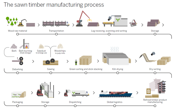 The sawn timber manufacturing process