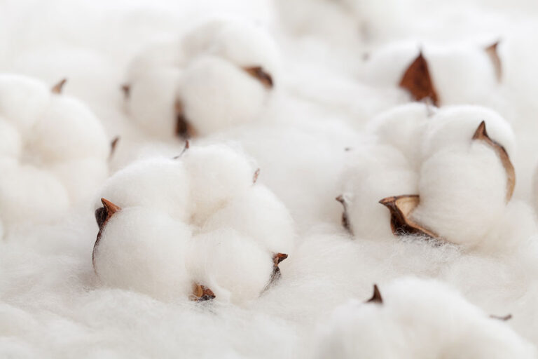 The most common natral fibre is cotton.
