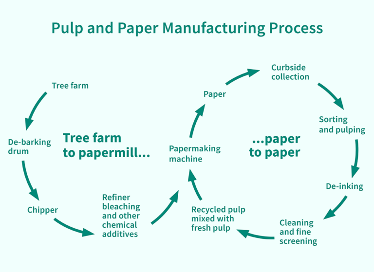Pulp and paper manufacturing process.